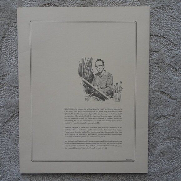 Field & Stream's Portfolio of Game Birds Painted by Ned Smith Limited Edition - Picture 14 of 16